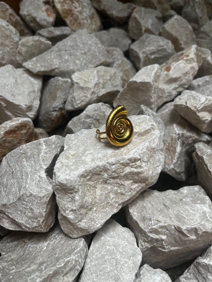 Rincon ring
