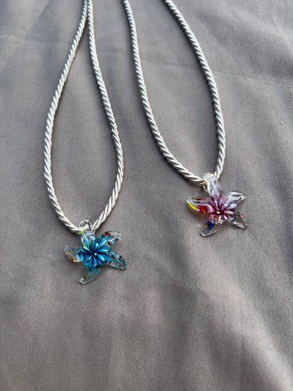 starfish