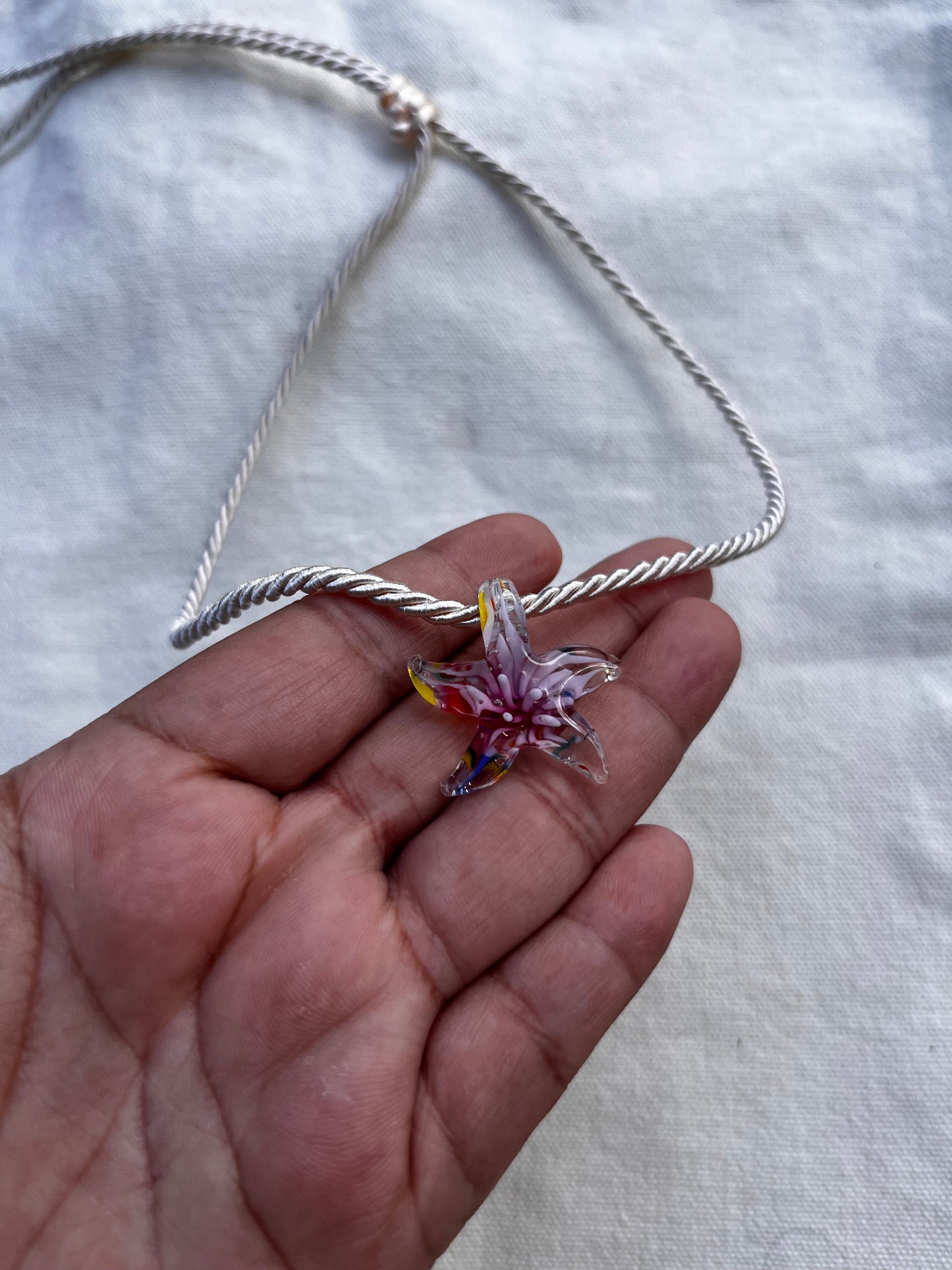 starfish