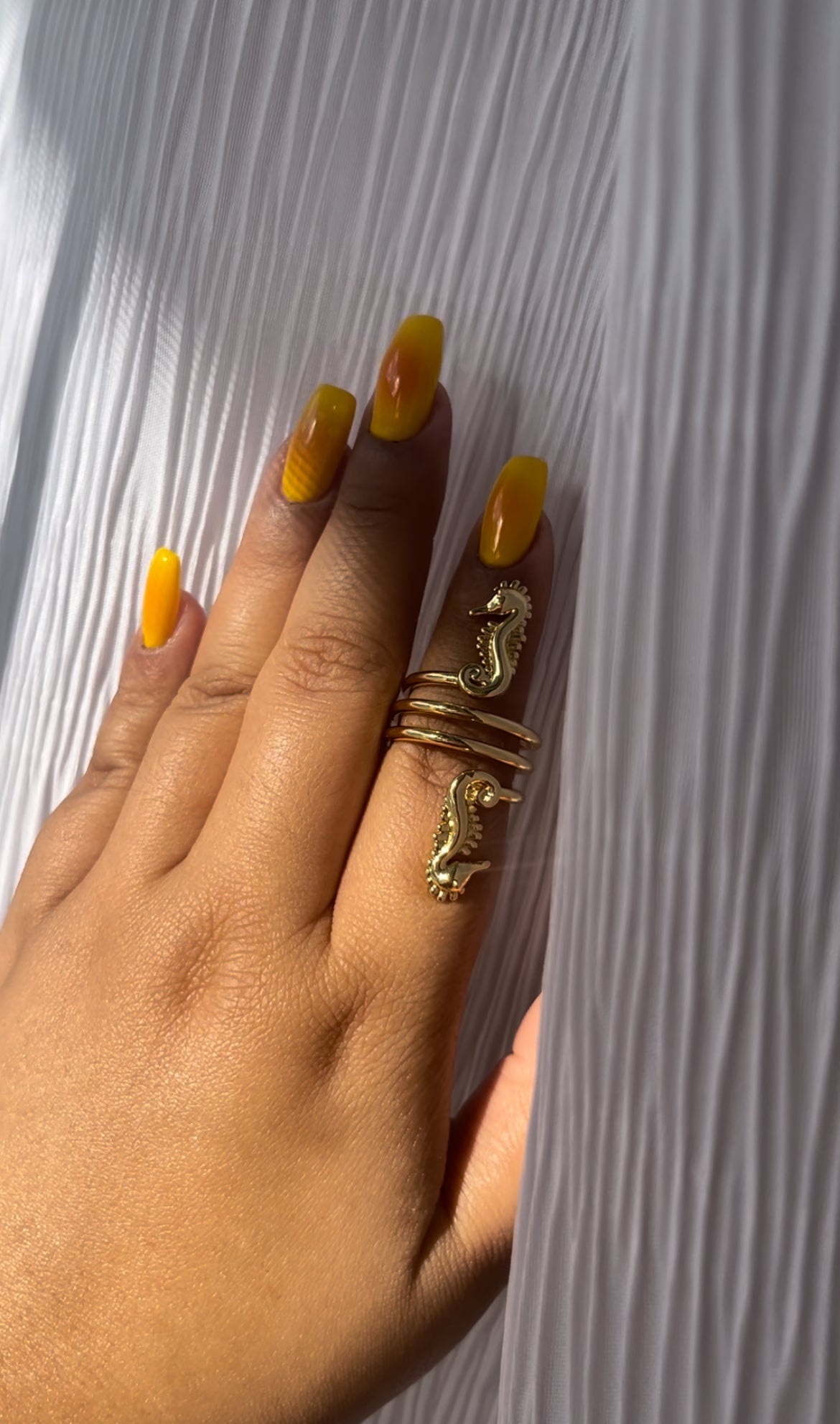 caballito de mar ring